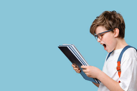 Surprised or outraged school boy looking at notepad or test results. Shouting out. Handsome...