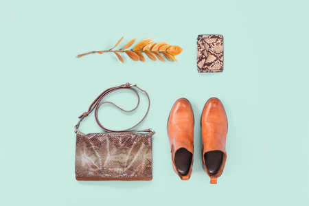 Pair of trendy fashion orange chelsea boots and animal print leather bag and purse on baby blue. Bright autumn fall season accessories bloggers concept with copy space. Flat layの写真素材