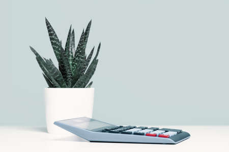 Calculator and a succulent or cactus in a pot on an office shelf or desk. Business concept banner. Copy spaceの写真素材