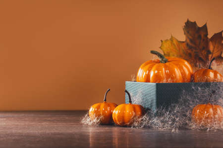 Orange halloween pumpkins or thanksgiving brown bannerの写真素材