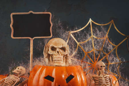 Halloween skeletons having Spooky party with pumpkin and spiderの写真素材