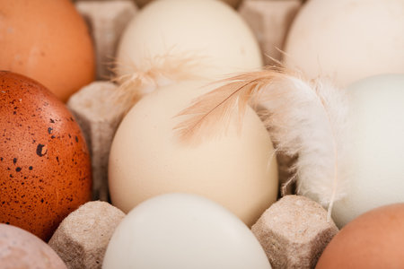 several organic assorted chicken eggs with a feather in a box from above. Different colors of...
