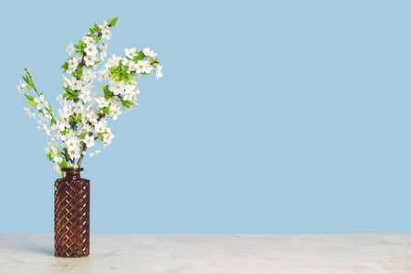 Spring blooming tree branches in a vase on tender soft blueの写真素材