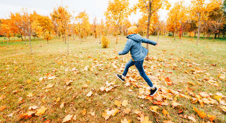 happy kid in fall foliage among autumn trees