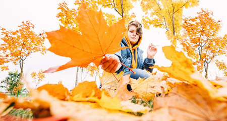 happy kid in fall foliage among autumn trees