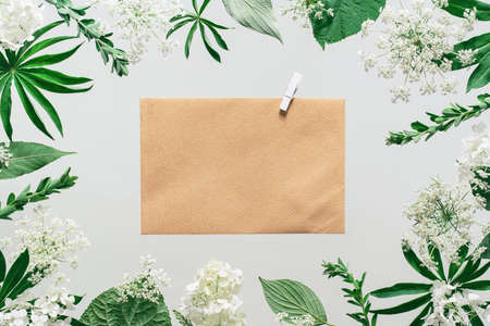 Assorted floral and jungle tree green leaves and white flowers frame border Natural sustainable...