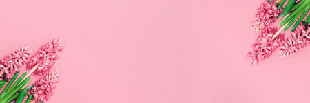 Pink hyacinth spring flowers in corners on pink red background banner. Flowerheads in bloom. Top view. Mothers Day birthday Easter or holiday sale. Thank you bannerの写真素材