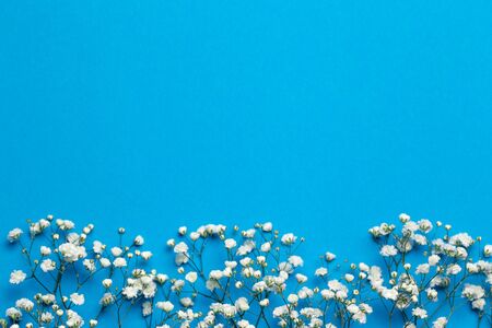 Floral composition with light small white gypsophila flowers on deep blue background, top view, frame, background, copy spaceの写真素材