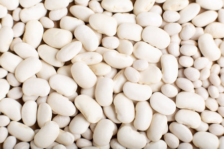 White beans background, common beans top view. Vegan protein source concept