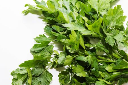 a bunch of parsley on a white background close upの写真素材