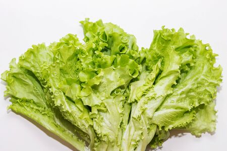 lettuce leaves close up on a white backgroundの写真素材