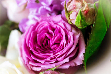 A bouquet of very beautiful different colors close up. Very romantic.