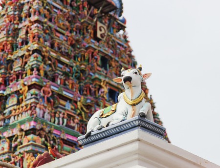 Cow and other detais of indian Kapaleeswarar temple , Chennai, Indiaの写真素材