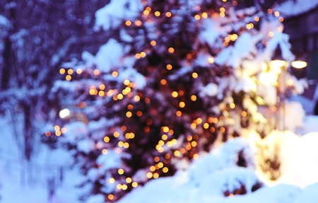 Christmas tree with lights glowing and snowの写真素材