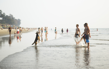 ARAMBOL BEACH, GOA, INDIA - FEBRUARY 15, 2013: young people are playing with dog in water.のeditorial素材