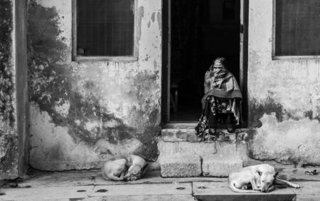 INDIA, Delhi - 12 january 2014 - indian woman and dogs in the streets of Delhi.のeditorial素材