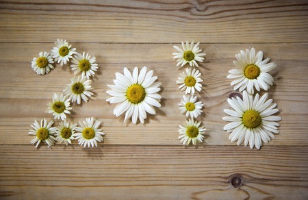 new year 2018 of chamomile flowers on wooden background.