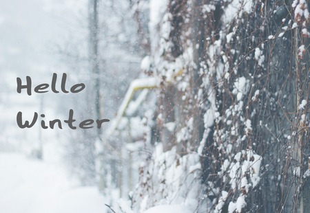 Hello winter. Snowfall in a countryside with trees in snow.の写真素材