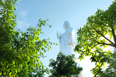 big buddha statue in Ho Quoc pagoda, phu quoc island, Vietnamの写真素材