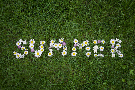 The word "summer" made of flowers on green grass backgroundの写真素材
