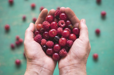 fresh berries in handsの写真素材