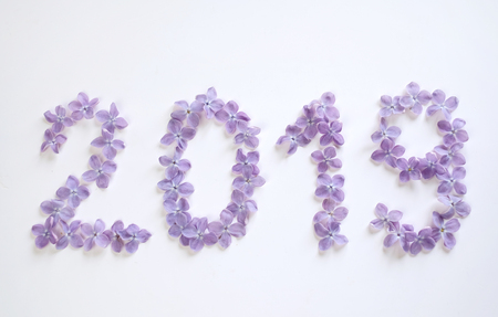 new year 2019 of lilac flowers on a white background