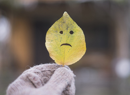 Autumn leaf sad face in a hand.の写真素材