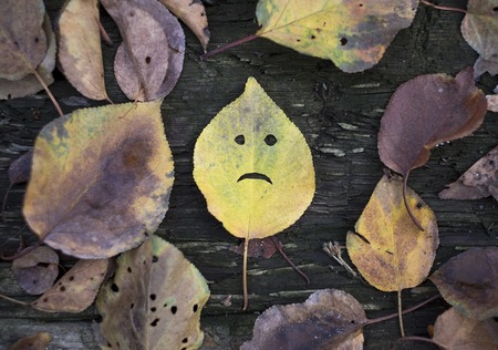 Autumn leaf sad face on the wood.の写真素材