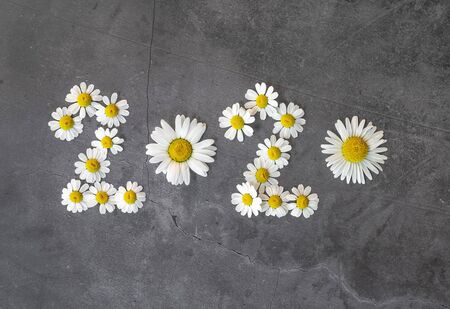 new year 2020 made of daisy flowers on the concrete background