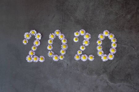 new year 2020 made of flowers on the concrete backgroundの写真素材