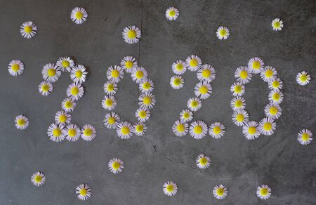 new year 2020 made of flowers on the concrete backgroundの写真素材