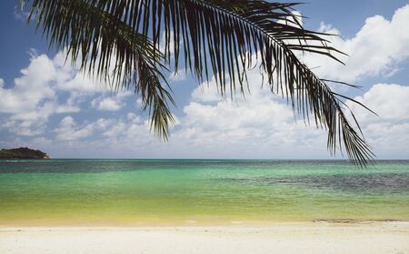 Beautiful tropical beach with turquoise water and palm tree leaf in Thailand, Koh Samui island.
