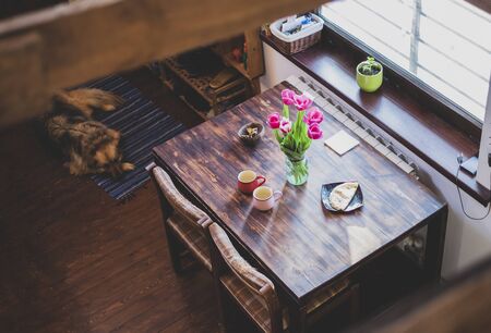 Room interior with wooden patterns, tulips on the table, the dog is lying on the rug. From the top.の写真素材