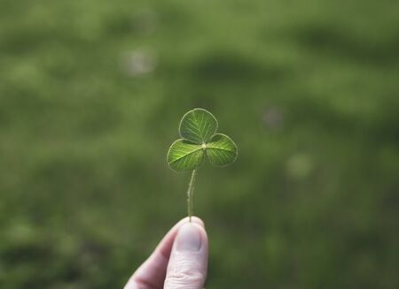 A hand is holding a clover.