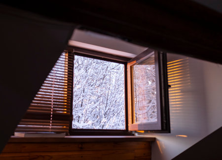Trees in snow out of window, winter landscape.の写真素材
