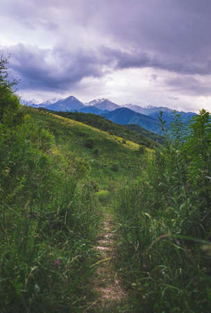 Beautiful summer landscape, footpath in the mountainsの写真素材