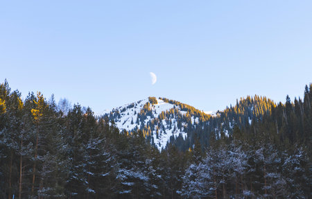 Mountains covered with forest in winter and half moon over the peak.