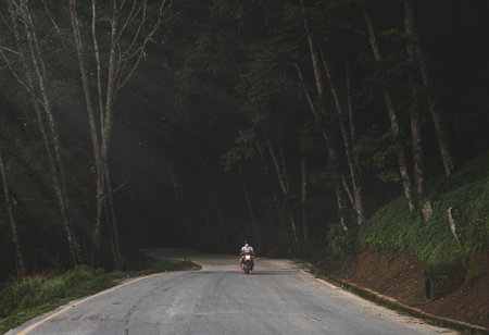 Man riding scooter through jungles.の写真素材
