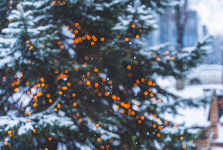 Christmas tree with lights glowing in the snow.の写真素材
