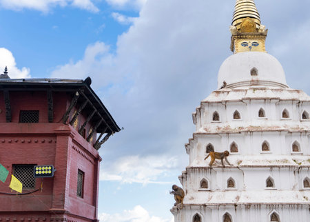Swayambhunath Stupa complex with monkeys playing. Kathmandu, Nepal.の写真素材