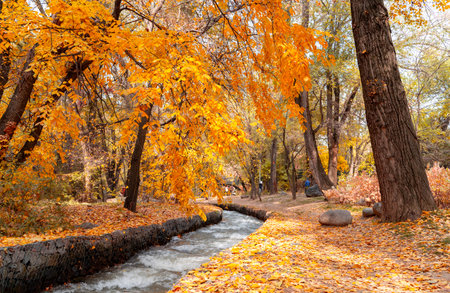 Terrenkur walking trail in autumn, Almaty city, Kazakhstan.の写真素材