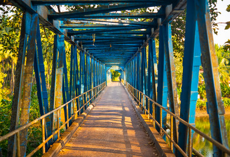Blue metal bridge surrounded by tropical greenery at golden sunset in South Goa, India.の写真素材