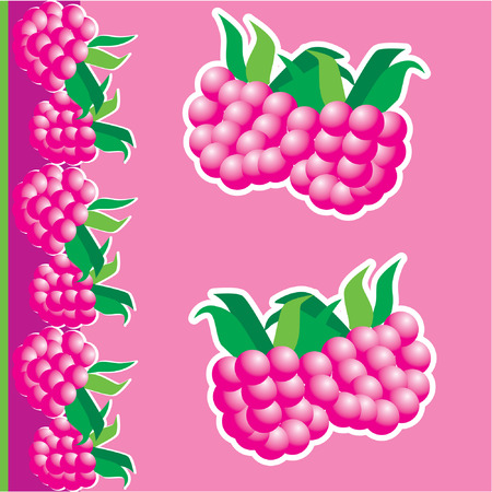 Raspberries isolated on a pink background. Berries pattern. Vector art-illustration.のイラスト素材