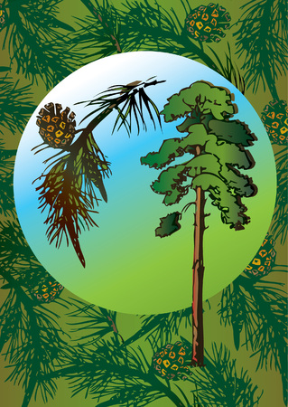 Fir tree and its branch in the oval. Vector art-illustration.のイラスト素材
