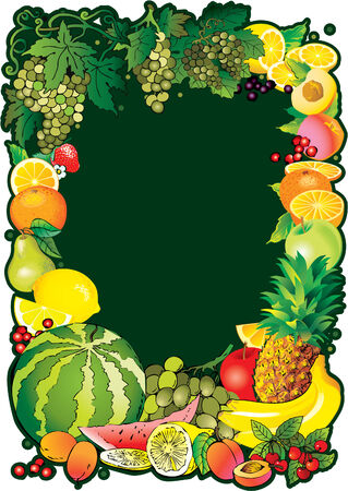 Fruits frame with place for sample text. Healthy food. Vector art-illustration.のイラスト素材