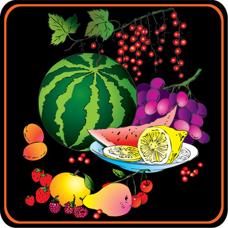 Beautiful fruits collection on a table. Healthy food. Vector art-illustration.のイラスト素材