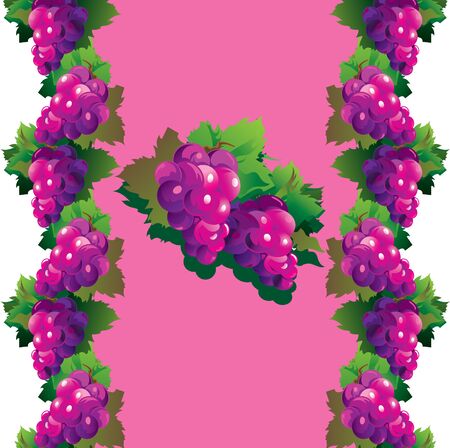 Purple grapes with green leaves on a pink background. Fruits pattern. Vector art-illustration.のイラスト素材