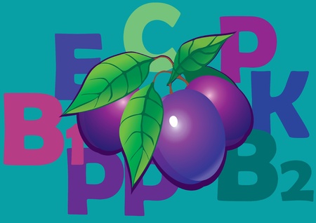 Fruit and vitamins that they contain. Plums. art-illustration.のイラスト素材