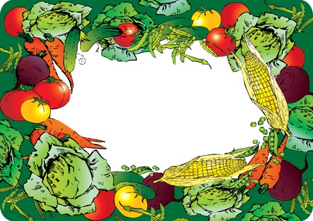 Collection of vegetables in the form of frame  Place for your text  Vector art-illustration  のイラスト素材
