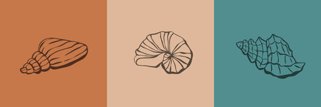 Set, row of seashell icons in a trendy minimal linear style. Vector illustration of a conch, oyster, scallop and snail, Use it for website, t-shirt print, tattoo, social media post and stories, bannerのイラスト素材